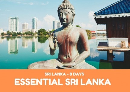 Essential Sri Lanka