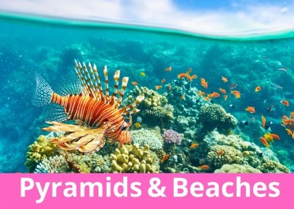 Highlights of Cairo and Hurghada