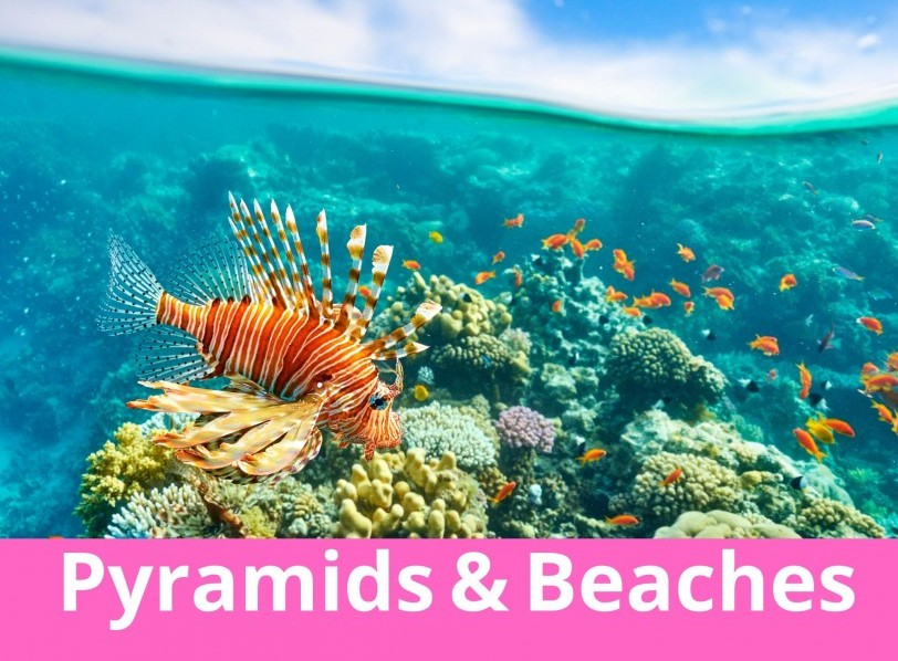 Highlights of Cairo and Hurghada