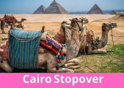 Highlights of Cairo