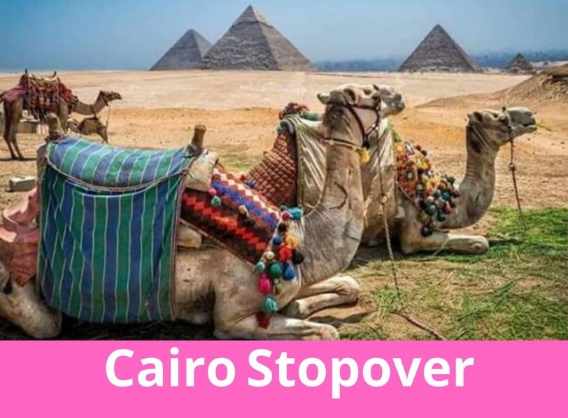 Highlights of Cairo