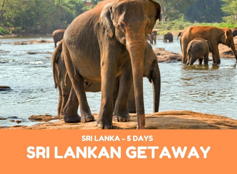 A Sri Lankan Getaway 5 Days
