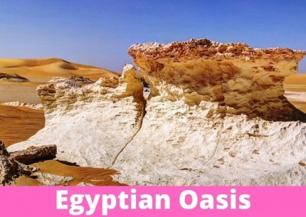 Egyptian Oasis