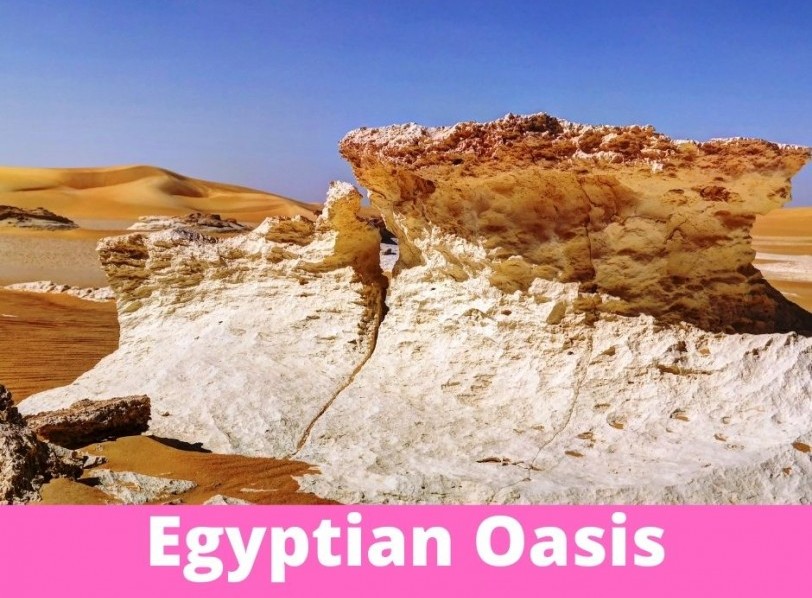 Egyptian Oasis