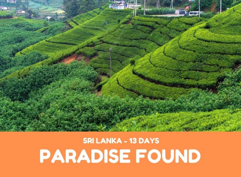Paradise Found
