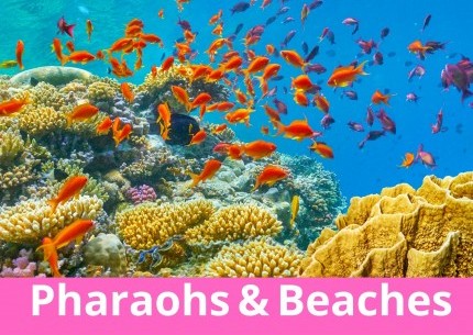 Ancient Egypt to Red Sea - SPECIAL OFFER