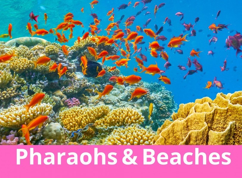 Ancient Egypt to Red Sea - SPECIAL OFFER